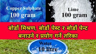 बोर्डो मिश्रण बनाउने सही तरीका || How to prepare Bordeaux mixture, Bordeaux paste, Bordeaux paint ||