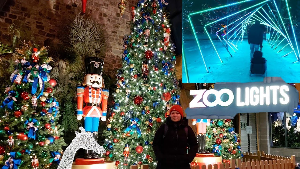 CALGARY ZOOLIGHTS 2022                  ( Berjuta2 lampu Natal )