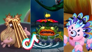 My Singing Monsters 🌟 MSM TikTok Compilation #196