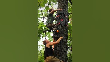 Hanging tree stands #feathersandfins #hunting #bowhunting #treestand