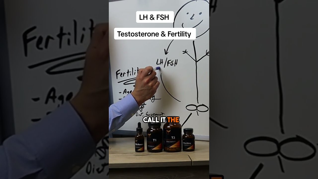 How Lh And FSH Affect Testosterone Production Fertility 