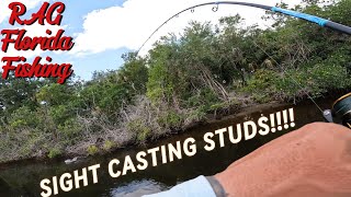 Fishing For Shallow Water Pre Spawn Snook!!! These Big Girls are HUNGRY!!!