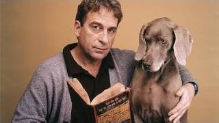 William Wegman: Fay at the Akron Art Museum - YouTube