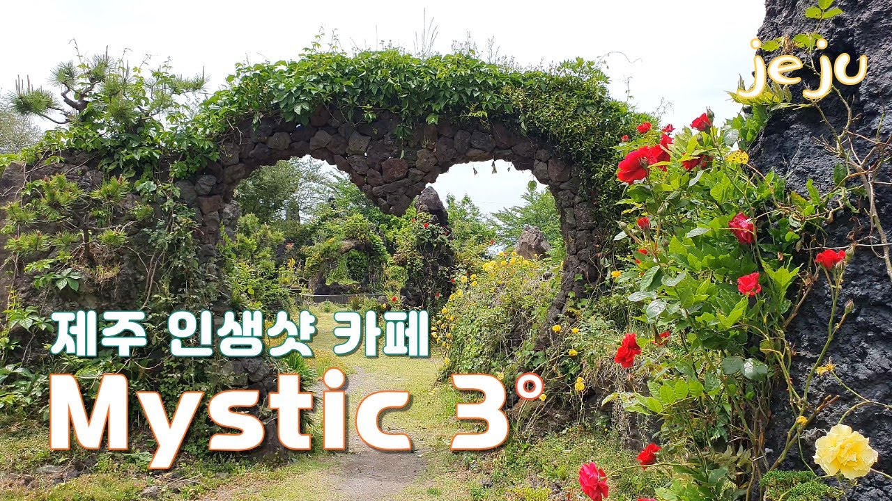 제주 최대 정원카페 Mystic 3°, 미스틱3도_신비의도로 옆 (no협찬)