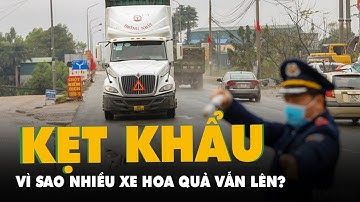 Vì sao nhiều xe chở hoa quả tươi vẫn lên Lạng Sơn dù đã biết không thể lên cửa khẩu?