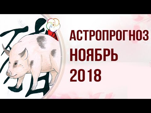 АСТРОПРОГНОЗ НА НОЯБРЬ 2018 ГОДА : Прогноз на Месяц Водяной Свиньи 2018 года!