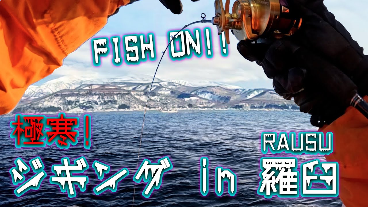 珍しくツイている朝、羅臼で何が起きた？