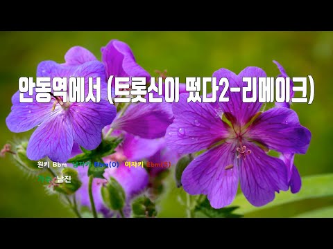 [은성 반주기] 안동역에서(트롯신이떴다2-리메이크) - 남진