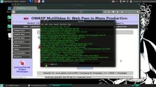 Mutillidae II - Command Injection Netcat Session