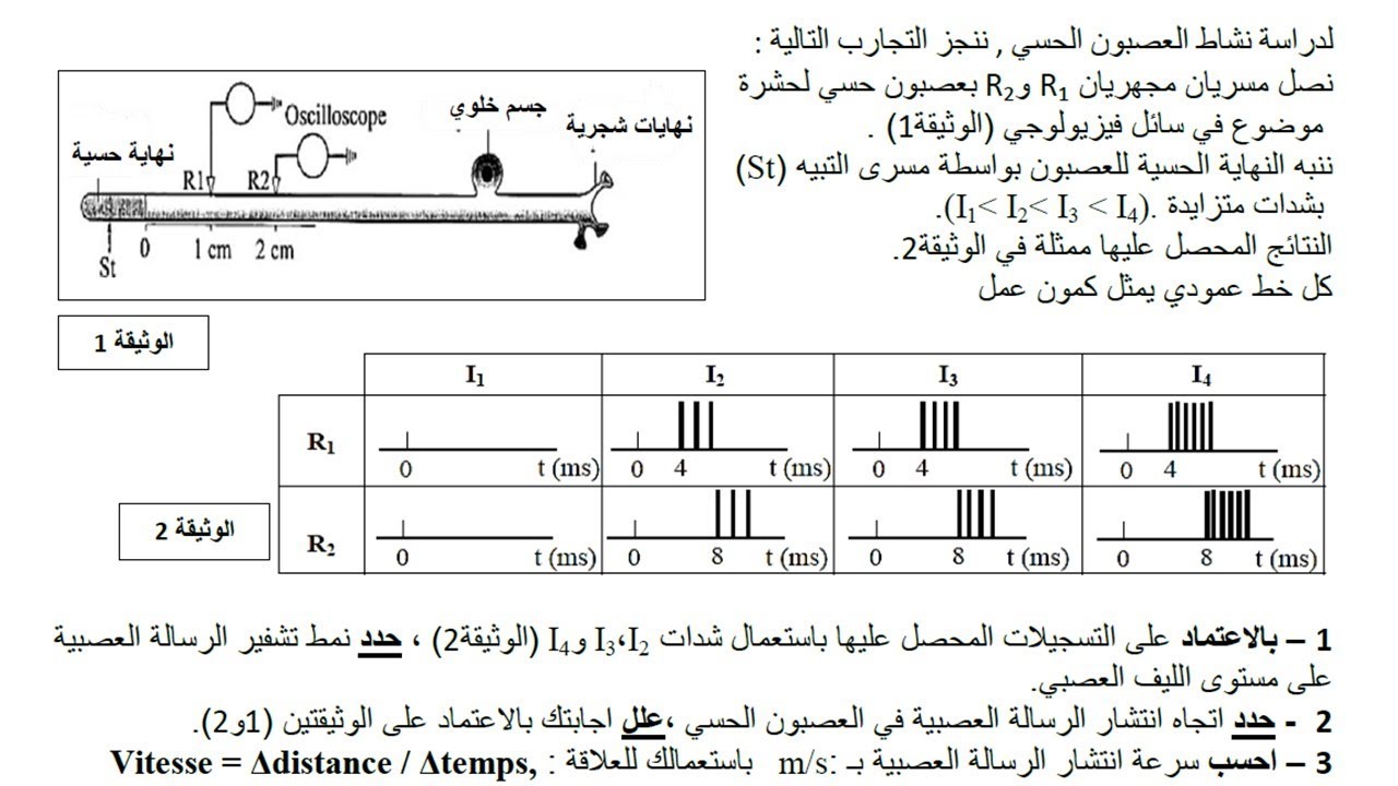 الاختبار الاول في العلوم الطبيعية للسنة الثانية ثانوي