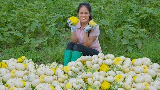 My Biggest Eggplant Harvest Ever & Goes To Countryside Market Sell - Vegetable Gardening | Mu Spring