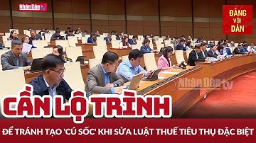 Quốc hội thảo luận về dự án Luật Thuế tiêu thụ đặc biệt (sửa đổi) | Tin tức CHÍNH TRỊ, XÃ HỘI