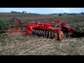 Angeloni erpice frangizolle a dischi fcm 40 ph 660 su sorgo