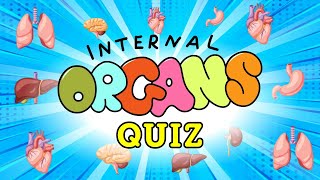 Human Organs Quiz for Kids | Internal Organs of the Human Body and Their Functions Resimi