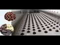 High-Capacity Chocolate Chips Depositing Solution