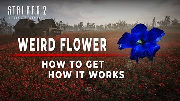 STALKER 2: Weird Flower. How to get and How it actually works