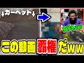 しんじと見る泥だらけのカーペットが綺麗になっていく動画