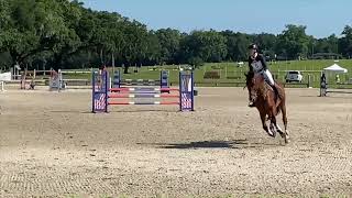 Vision Majestic Prelim SJ