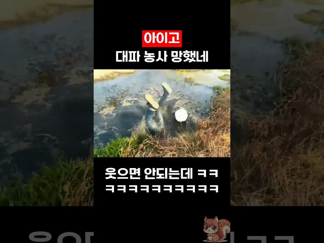 아이고 대파 농사 망했네 ㅋㅋㅋ #웃긴영상