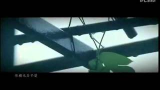 2010 - (HotCha - äžæä¹æ¯äžçš®æ)(MV)