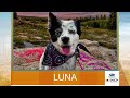 New Mexico Living Pet Pics September 25, 2026