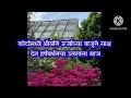 शौर्यने दिली कोर्टामध्ये विक्रांत विरोधात साक्ष|