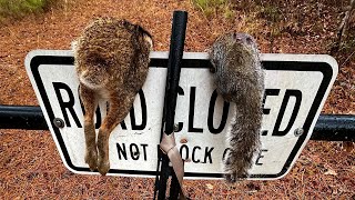SMALL GAME Hunting!