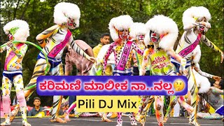 The owner of Karimani is me.. not 🤔 | DJ PILI MIX | MALE VERSION | ENILLA ENILLA | @VDJSUMANTH | Likhith Puttur