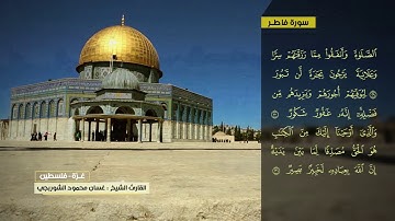 غسان الشوربجي  سورة فاطر
