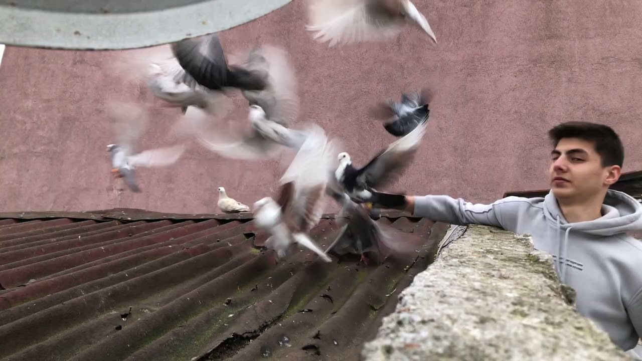 Kaçak Miski Mardin                                                     -2- 