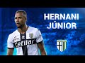 Hernani jnior  goals assists  skills  20202021  parma