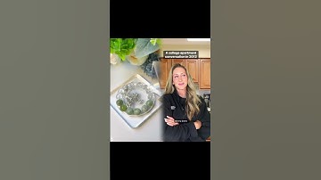 #2010s #collegememories #millennials #pov #voorjou #fyp