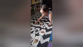 Object-to-Picture Matching for Montessori Toddlers