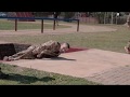 SANDF Military Skills Competition - South Africa 2016