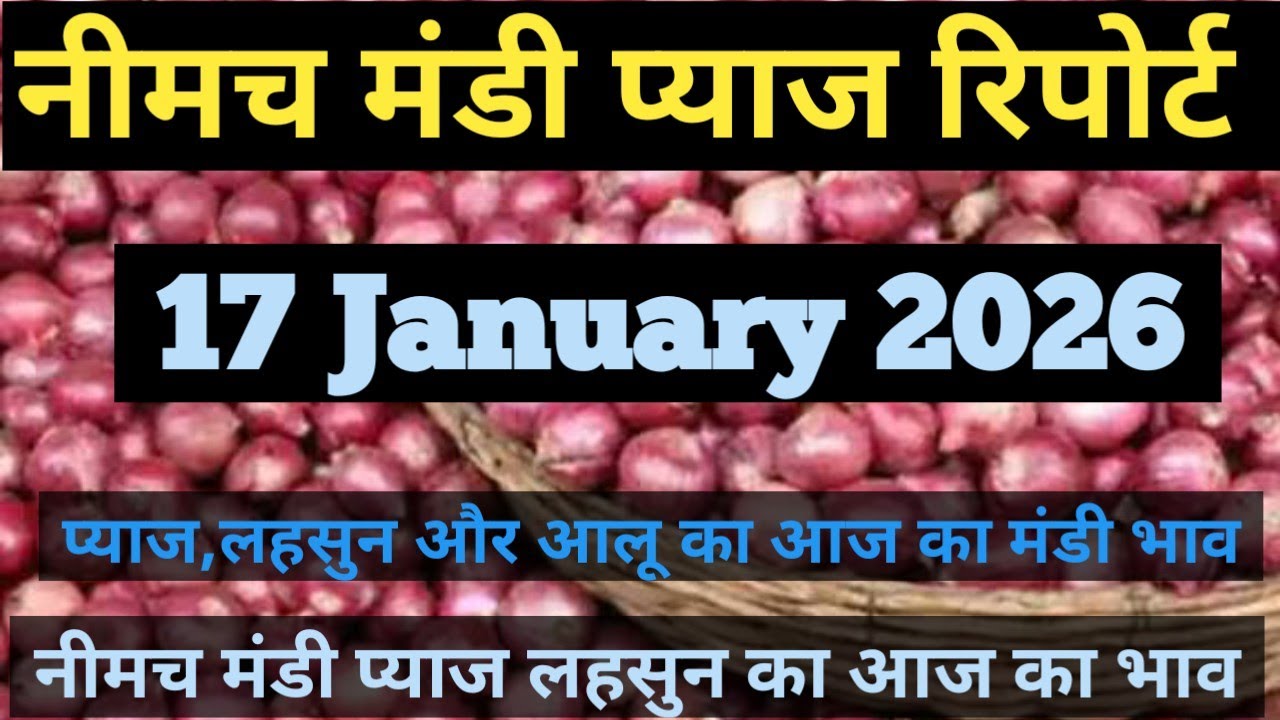 Neemuch Mandi pyaj ka bhav |17 January 2026 | 