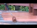 How To Install Deck Coating Rust-Oleum Restore 4X How To Install Deck Coating Rust-Oleum Restore 4X