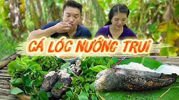 CÁ LÓC NƯỚNG TRUI ngay trong vườn nhà siêu thơm, ngọt thịt