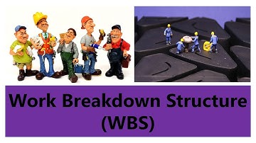 Work Breakdown Structure(WBS)-Example of WBS-Why WBS is Important, Urdu/Hindi