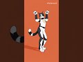 dancing kitties 4