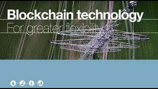 Blockchain technology for greater flexibility in the electricity grid system TenneT