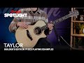 Taylor Builder's Edition 912CE  - Playing Examples