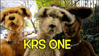 KRS ONE - SOUND OF THE POLICE  - DOG VERSION