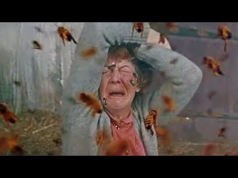 THE DEADLY BEES