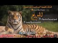 من جالك يابو لعصابه احنا والبوليص رفاقه اكشششن 2021 ابو عرب الشوال وابراهيم شيخ العيد 