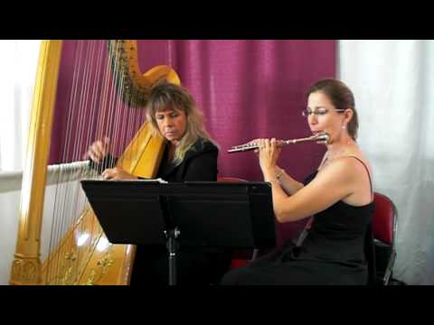 You Raise Me Up- Lauren Erickson, Flute and Donna Novack, Harp