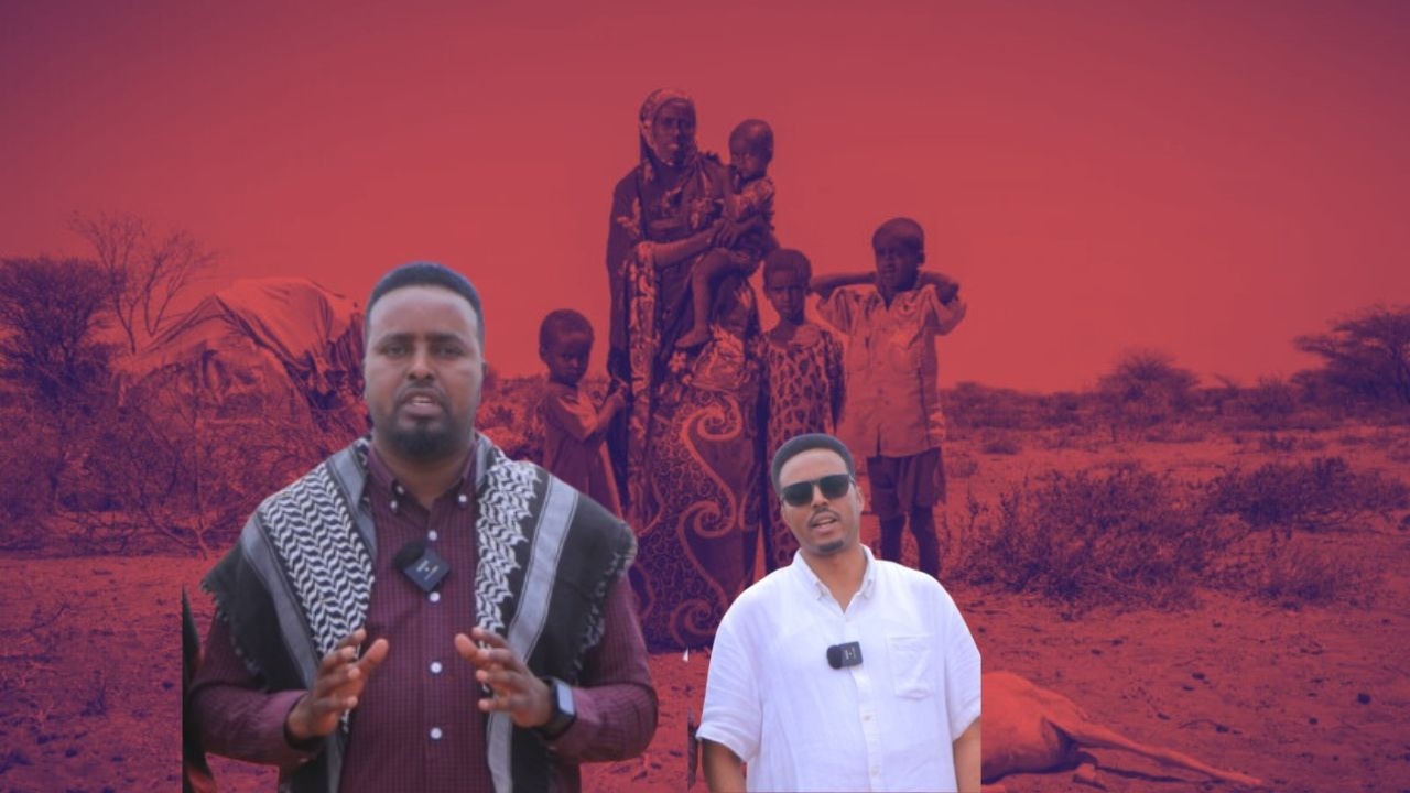 Горный регион и как бороться со смертельными болезнями