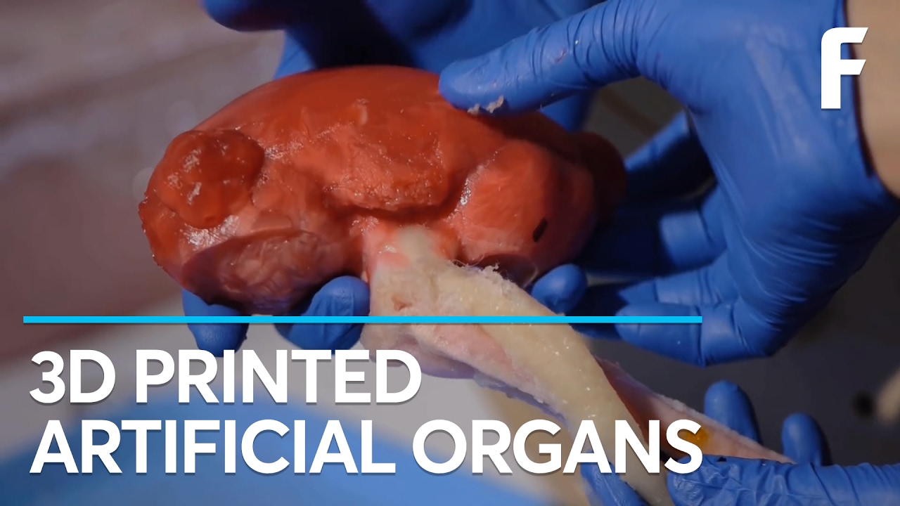 Scientists Now 3D Print Functional Organs - YouTube