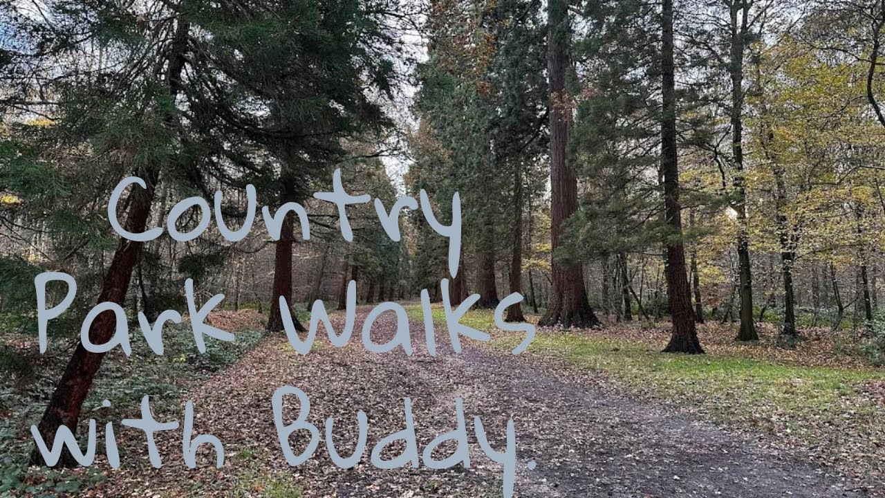 More smelling than running today. Country Park Walks with Buddy. Tuesday's walk.