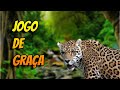 NOVO JOGO DE ANIMAIS GRATIS NO ROBLOX (Amazon Asencion)