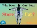 (Hindi) - Why does our body store Fat? | SmartnSuper